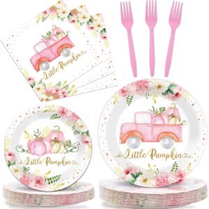 Thankgiving Pink Little Pumpkin Paper Plates Napkins Pink Pumpkin Baby Shower Birthday decorations Girl Tableware A Little Pumpkin is On Her Way Disposable Plates Party Supplies 24 Guest