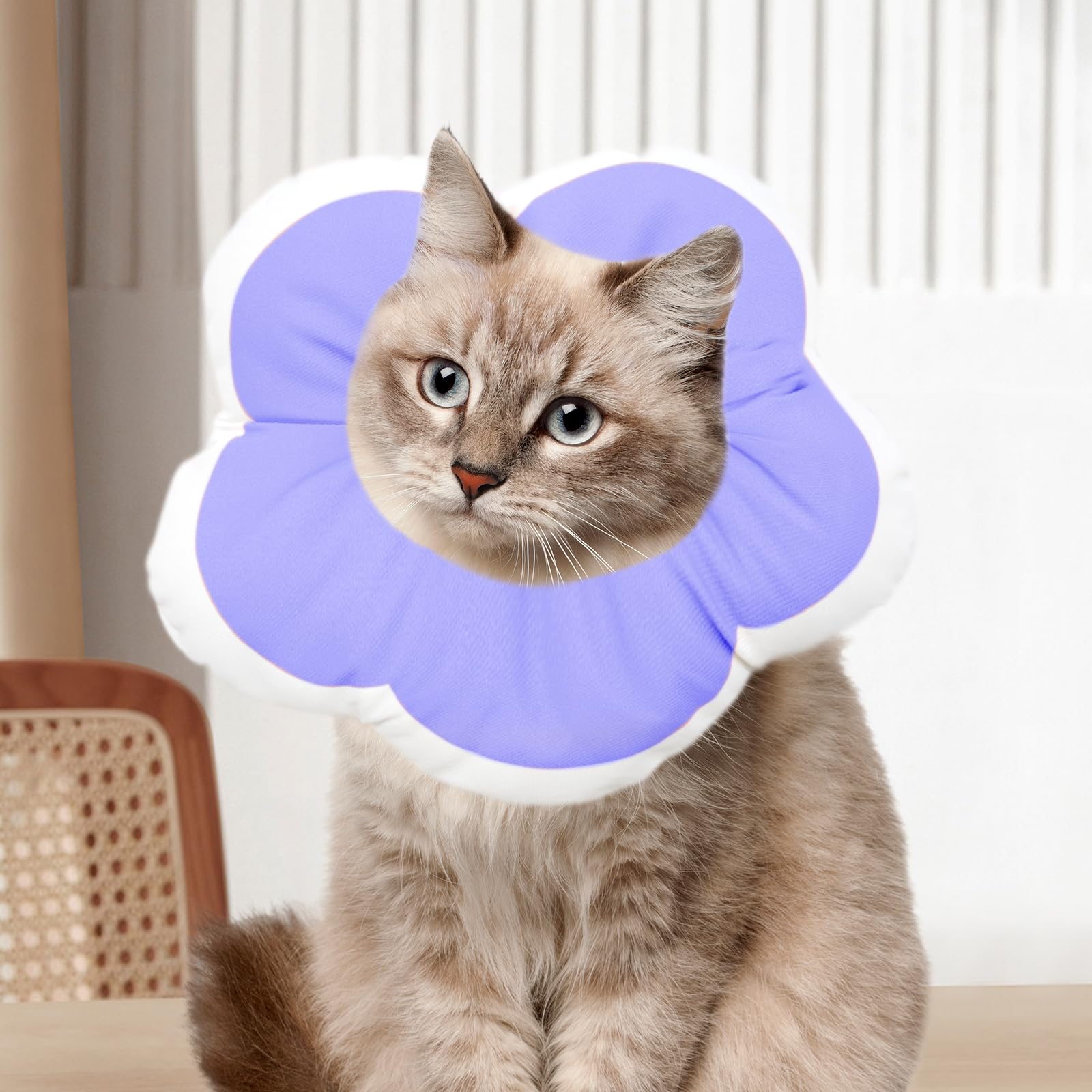 Adjustable Petal Cat Cone Collar Soft, Cute Waterproof Elizabethan Recovery Collar for Kittens and Small Dogs, Anti-Bite Lick Wound Healing Protective Neck Cone After Surgery Collar for Small Pets