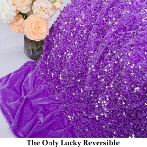 DUOBAO Lavender Sequin Fabric by The Yard Glitter Velvet Shimmer Fabrics 2 Yards Sparkle Mermaid Sequins by The Yard Material Dress Clothing Wedding Party