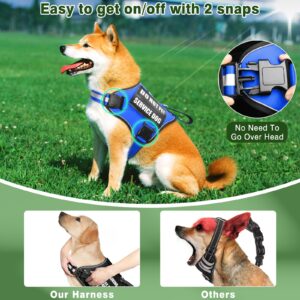 MOOGROU Service Dog Vest Harness and Leash Set+10 Patches,No Pull&Easy Walk Reflective Dog Harness with Soft Padded Handle for Training/Everyday,Fit Small/Medium/Large/Extra-Large Dogs (Blue M)