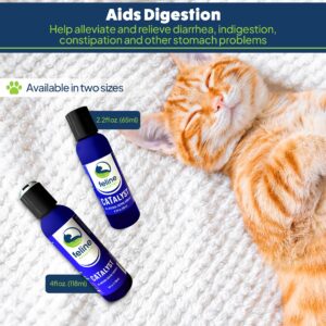 Feline Essential Catalyst Antioxidant Enzyme Formula for Cats - Cat Digestive Enzyme - Digestive Enzymes for Cats - Cat Digestive Support - Feline Catalyst Liquid Pancreatic Enzyme Supplements Cats