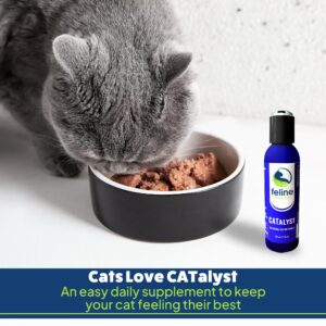 Feline Essential Catalyst Antioxidant Enzyme Formula for Cats - Cat Digestive Enzyme - Digestive Enzymes for Cats - Cat Digestive Support - Feline Catalyst Liquid Pancreatic Enzyme Supplements Cats