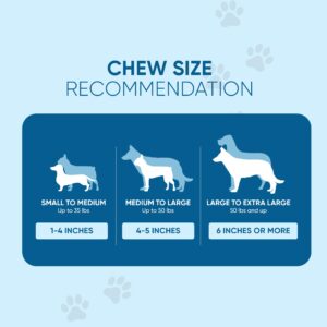 123 Treats 6 Inch Beef Collagen Sticks for Dogs - Rawhide Free Long Lasting Dog Collagen Chew Treats - Collagen Dog Chew Sticks for Large Dogs - 10 Count