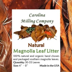 Magnolia Leaf Litter, 30-35 Premium Whole Natural Organic Hand Picked Leaves for Bioactive Enclosures, Reptiles, Amphibians