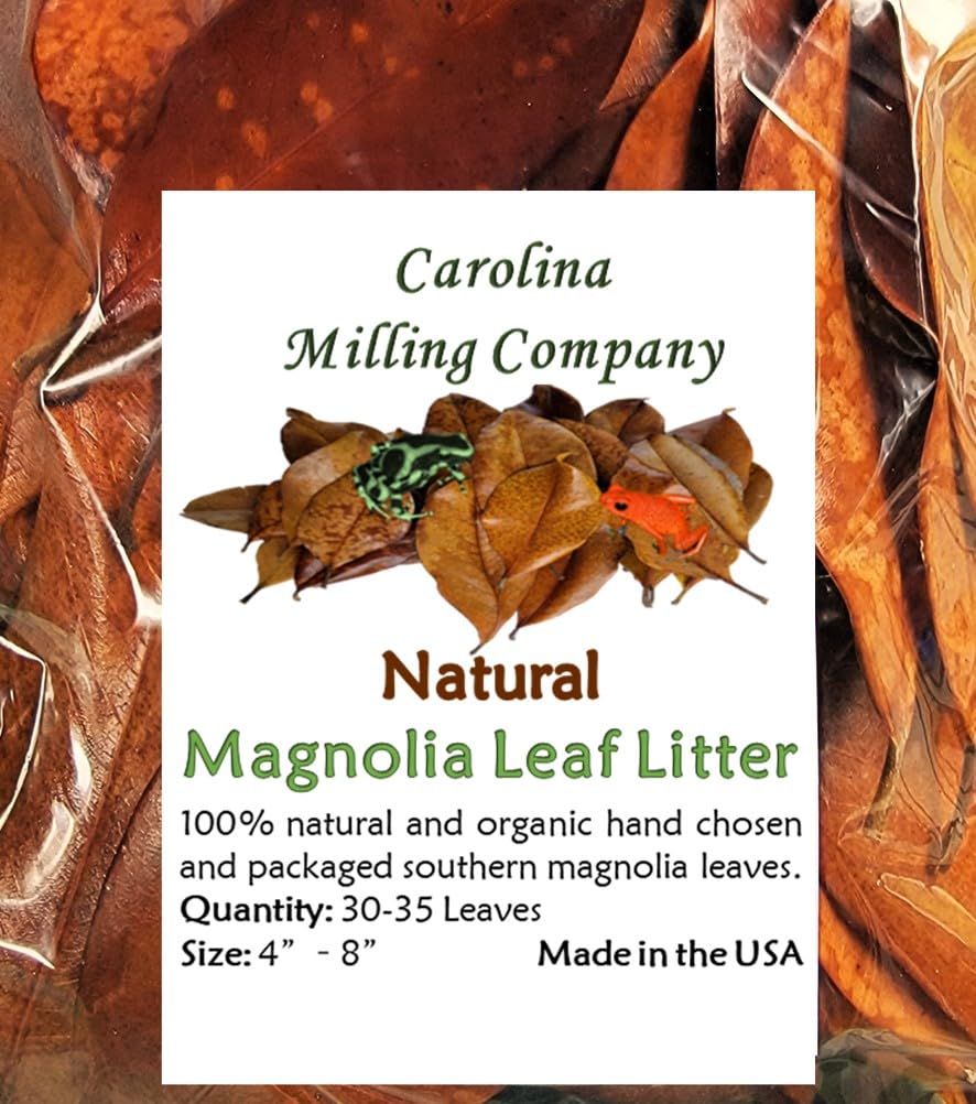 Magnolia Leaf Litter, 30-35 Premium Whole Natural Organic Hand Picked Leaves for Bioactive Enclosures, Reptiles, Amphibians