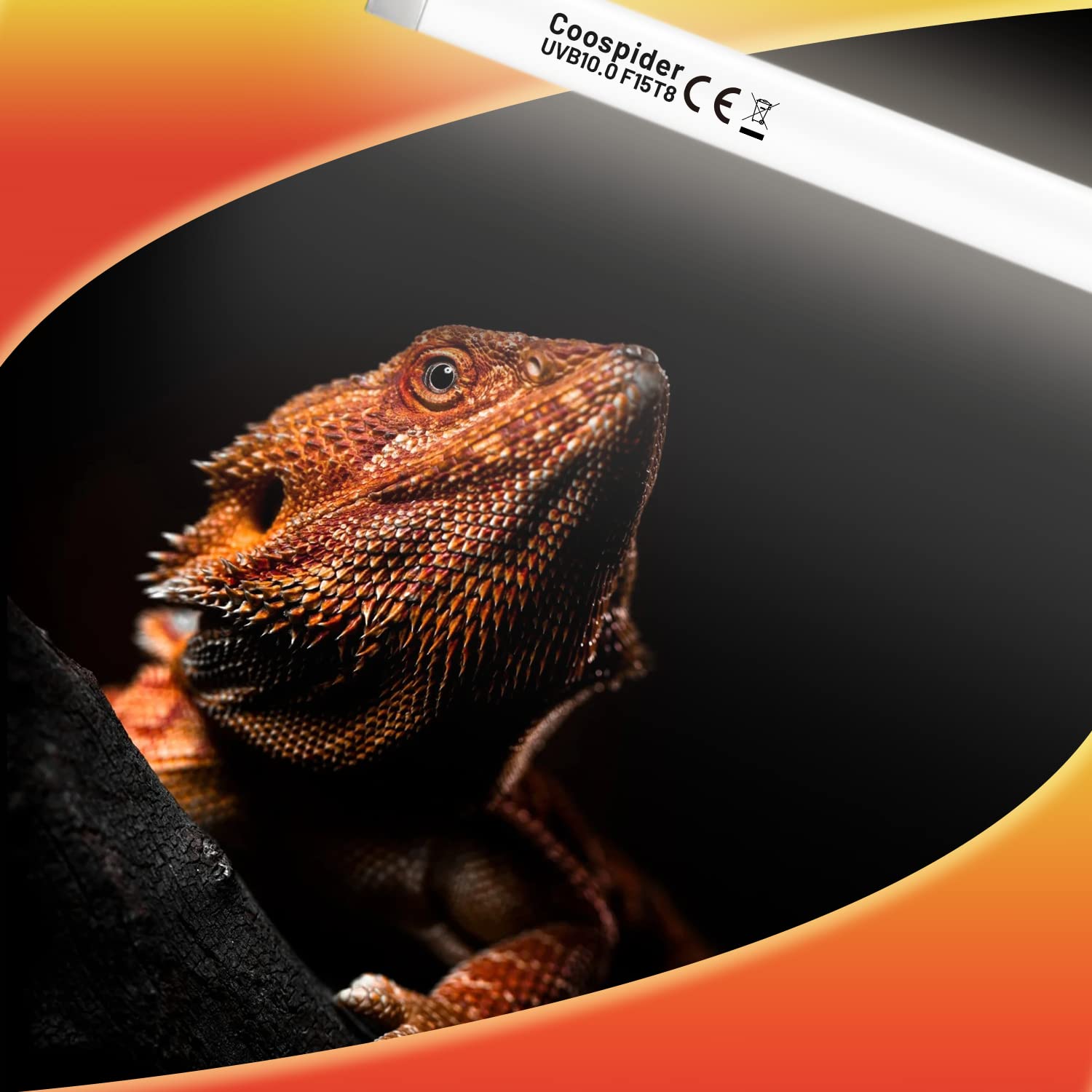 Hypool 2 Pack T8 Strip UVB Reptile Lighting Bulb 18-Inch 15 Watt UVB 10.0 Fluorescent Bulb 10-Percent UVB Desert Pet Habitat Light for Reptiles Amphibian