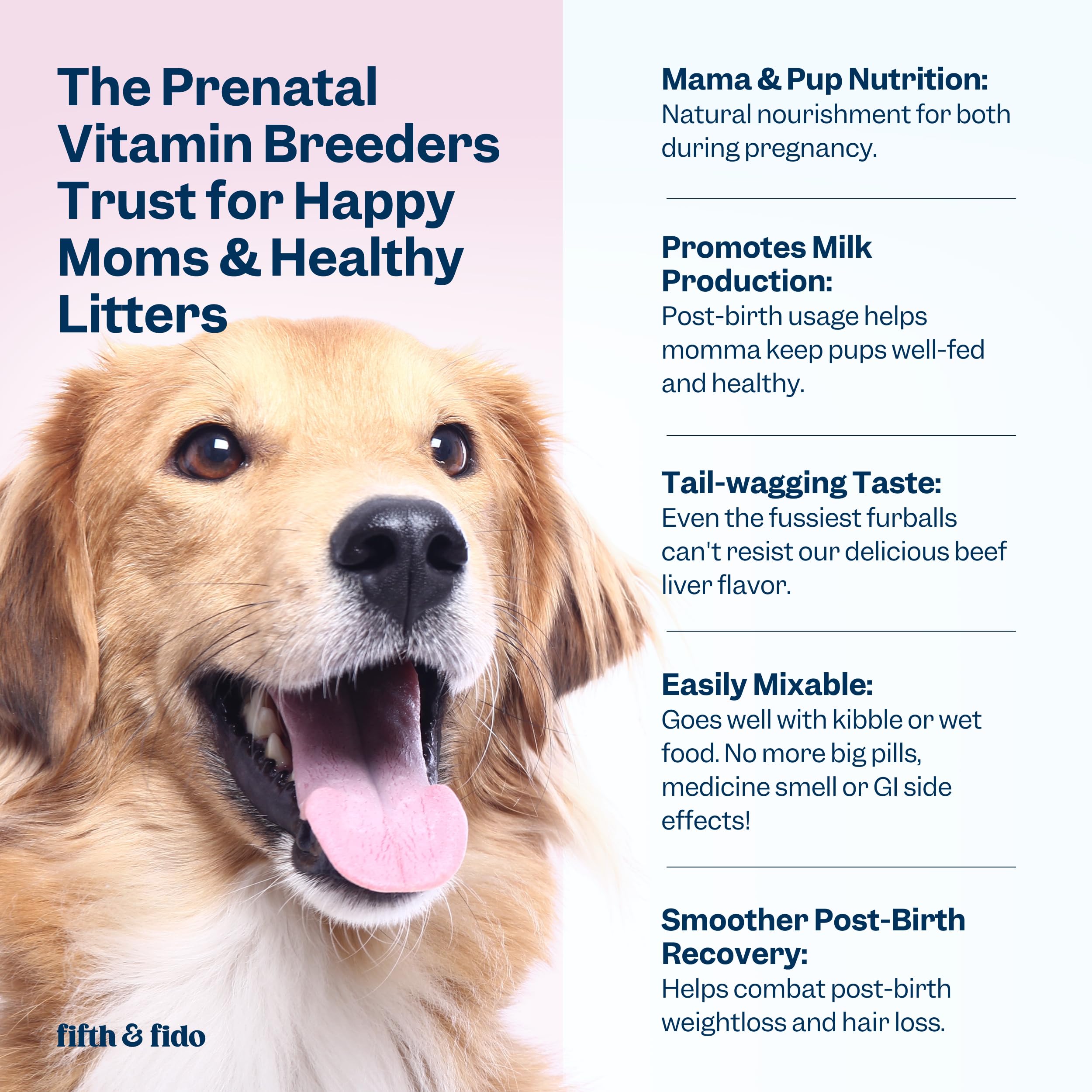 Dog Prenatal Vitamins - Prenatal Vitamins for Dogs - Prenatal Kit for Pregnant Dogs with Iron, D3 and Folic Acid - Prenatal Dog Vitamins to Enhance Recovery and Milk Production for Nursing Puppies