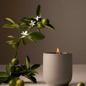 Homecourt Luxury Candle, Neroli Leaf Scent, 60-Hour Burn Time, Soy Wax Blend, Organic Cotton Wick, Reusable Kiln-Fired Ceramic Vessel, 8 Oz