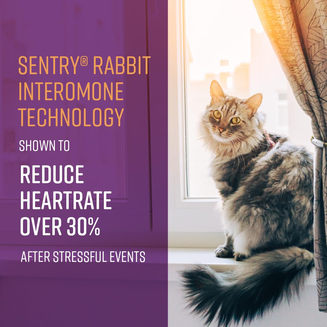 Sentry Behavior Portable Calming Diffuser for Cats, Reduces Stress and Bad Behavior with Calming Pheromones, Easy-to-use Portable Design, 30 Day Release