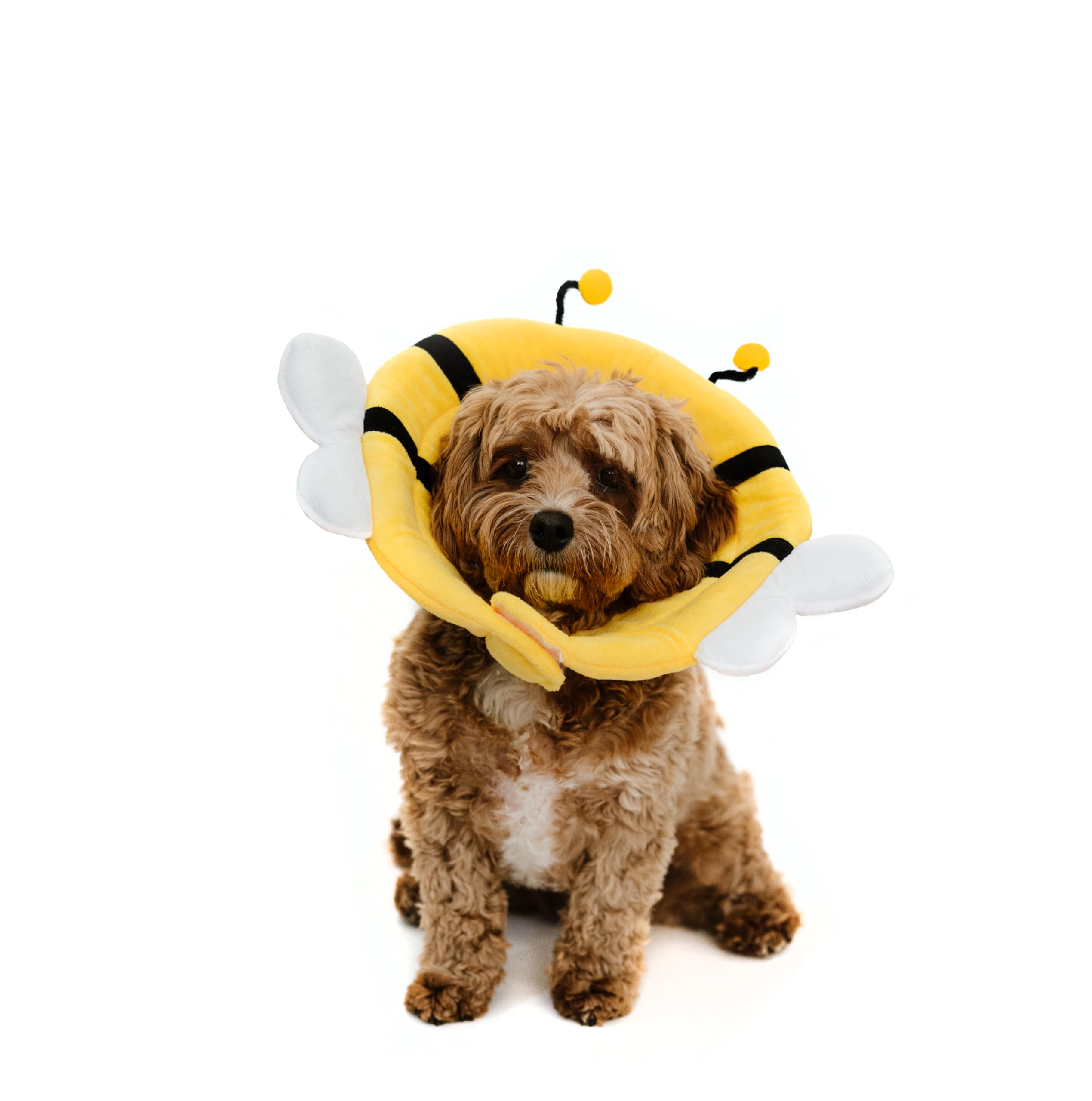 SkyReese - Soft Small Dog/Puppy/Cat Cone | Cute Bumblebee Cone for Small Dogs, Puppies & Cats After Surgery, Wound Care, Spay & Neuter | Dog Recovery Cones & Collars | 100% Polyester (Large)