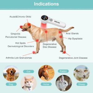 Kdvioo Cold Laser Therapy Device for Dogs, 16pcs 660nm & 4pcs 810nm & 4pcs 980nm Infrared Red Light Therapy Machine for Pain Relief, Arthritis, Spinal, Promote Blood Circulation, for Pets