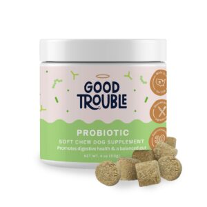 good trouble pets probiotic supplement for dogs - chicken flavor, 30 chews - enhanced digestive support