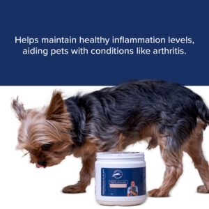 Dr. Jeff Werber Replenish Omega 3 Fatty Acid Chew for Pets & Dogs - Soft Fish Oil Chews with Natural Ingredients for Boosting Immune System and Regulating Inflammatory Response - 60 ct. (Small/Medium)