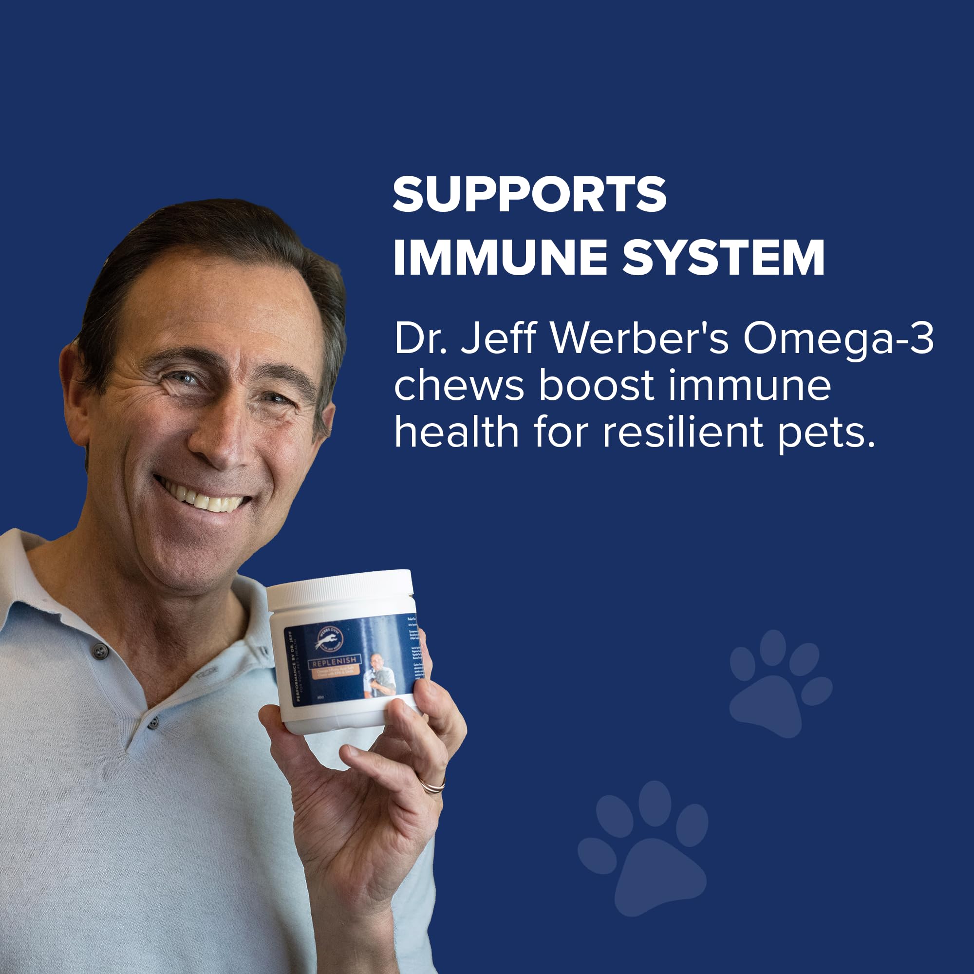 Dr. Jeff Werber Replenish Omega 3 Fatty Acid Chew for Pets & Dogs - Soft Fish Oil Chews with Natural Ingredients for Boosting Immune System and Regulating Inflammatory Response - 60 ct. (Small/Medium)