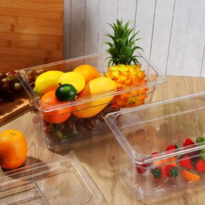 Sunnyray 6 Set 1/3 Size Polycarbonate Food Pans with Lids and Drain Shelf Clear Square Food Storage Containers for Kitchen Restaurant Fruit Vegetable Food Container and Storage (6 Inch Deep)