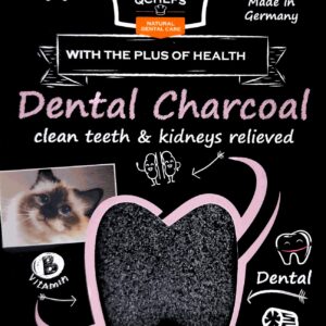 QCHEFS Dental Charcoal for Cats – Two Month Supply* - Food Topper - After Meal Licking Treat, Oral Health Snack with Amino Acids.