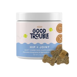 good trouble pets hip & joint supplement for dogs - bacon & chicken flavor, 30 chews - enhance joint health & mobility for your canine companion