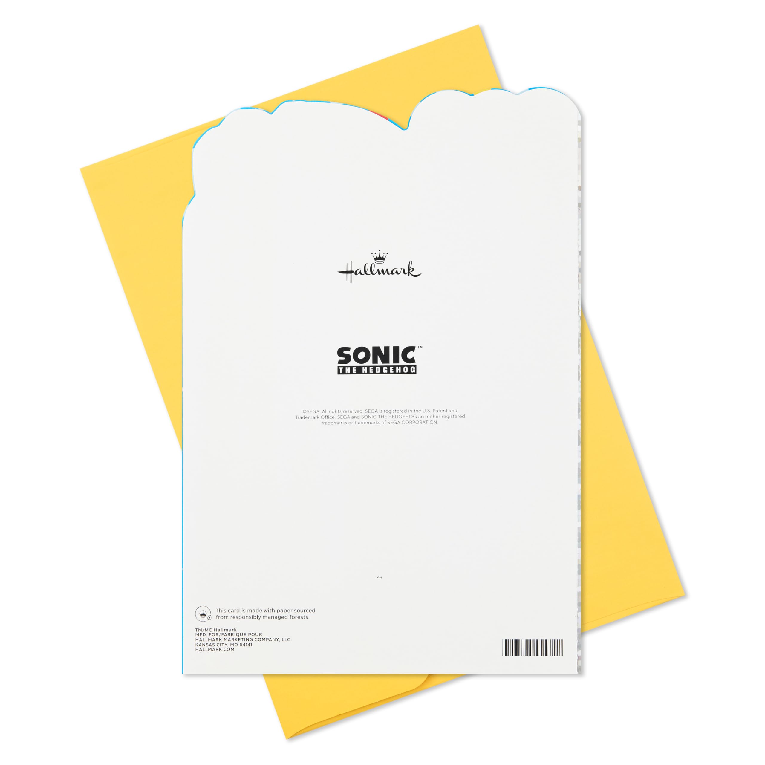 Hallmark SEGA Sonic the Hedgehog Birthday Card for Kids, Teens, Video Gamers