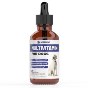 multivitamin for dogs | dog multivitamin | for joint support, gut & immune health, skin & heart health | dog vitamins and supplements | dog vitamins multivitamin | dog supplements & vitamins | 1 fl oz