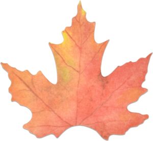 gift boutique 100 count thanksgiving table maple leaf i am thankful for cards tree kit bulletin board cutouts autumn name cards table place settings fall gratitude wall decor leaf cutout