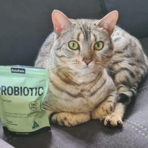 Probiotic for Cats & Kittens - Cat Probiotic Powder for Hairball Prevention, Digestive Support, Immune Health, Prebiotics, and Diarrhea Relief - Suitable for Indoor Cats & Kittens - 60 Scoops