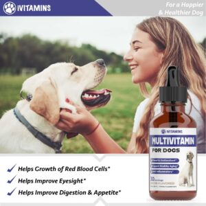 Multivitamin for Dogs | Dog Multivitamin | For Joint Support, Gut & Immune Health, Skin & Heart Health | Dog Vitamins and Supplements | Dog Vitamins Multivitamin | Dog Supplements & Vitamins | 1 fl oz