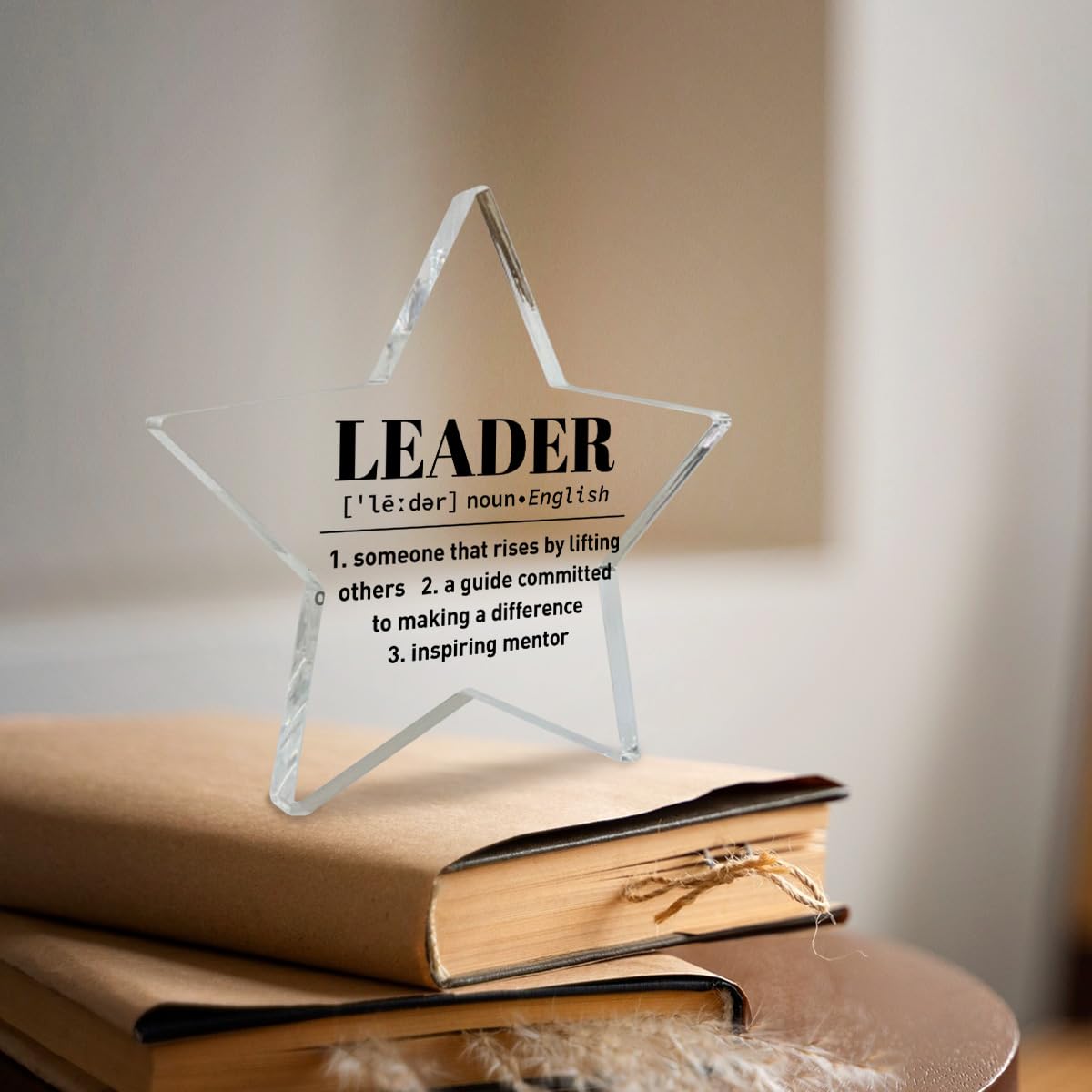 Leader Appreciation Gifts for Women Men, Leader Boss Birthday Christmas Day Gifts Thank You Gifts Mentor Retirement Leaving New Job Farewell Gifts, Acrylic Keepsake Desk Decor, Leader Definition