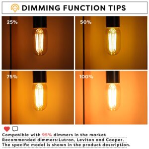 Sphoon Amber Light Bulb,Dimmable Tubular led Bulb, T45 Edison LED Bulbs, 60W Equivalent, 6W 500lm, 2200K Warm White, LED Filament Bulbs with 80+ CRI, Pack of 2