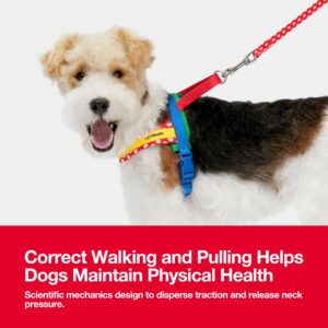 VETRESKA Dog Harness and Leash Set, No-Pull Puppy Harness for Walking and Training, Easy Walk Dog Harness for Small Medium Dogs, Adjustable, Take Control & Anti-Twist Pet Lead Combo (MoMA Red, S)