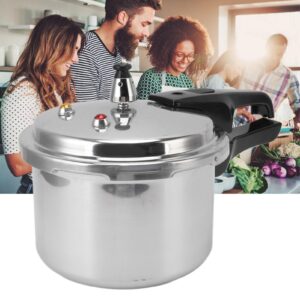 LUCKDANO Stainless Steel Mini Pressure Cooker, 3L Stainless Steel Pressure Cooker Food Grade Performance for Gas Stove