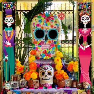 iPartycool Day of The Dead Decorations, Day of The Dead Porch Sign Door Banner, Halloween Costume Mexico Dia De Los Muertos Party Supplies Decorations Flag Welcome Hanging Home Wall Decor Background