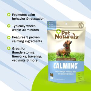 Pet Naturals BusyButter Easy Squeeze Calming Peanut Butter for Dogs, 6 Pouches & Calming Treats for Dogs, 30 Chews