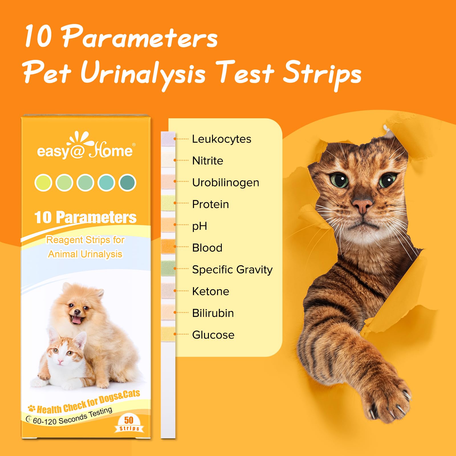 Easy@Home Pet Diabetes UTI Urine Test Strips 50 Counts, 10-in-1 Dog & Cat Urinalysis Kit Testing Glucose/Blood/Ketone/Bilirubin/pH/Protein/Urobilinogen/Nitrite/Leukocytes/SG