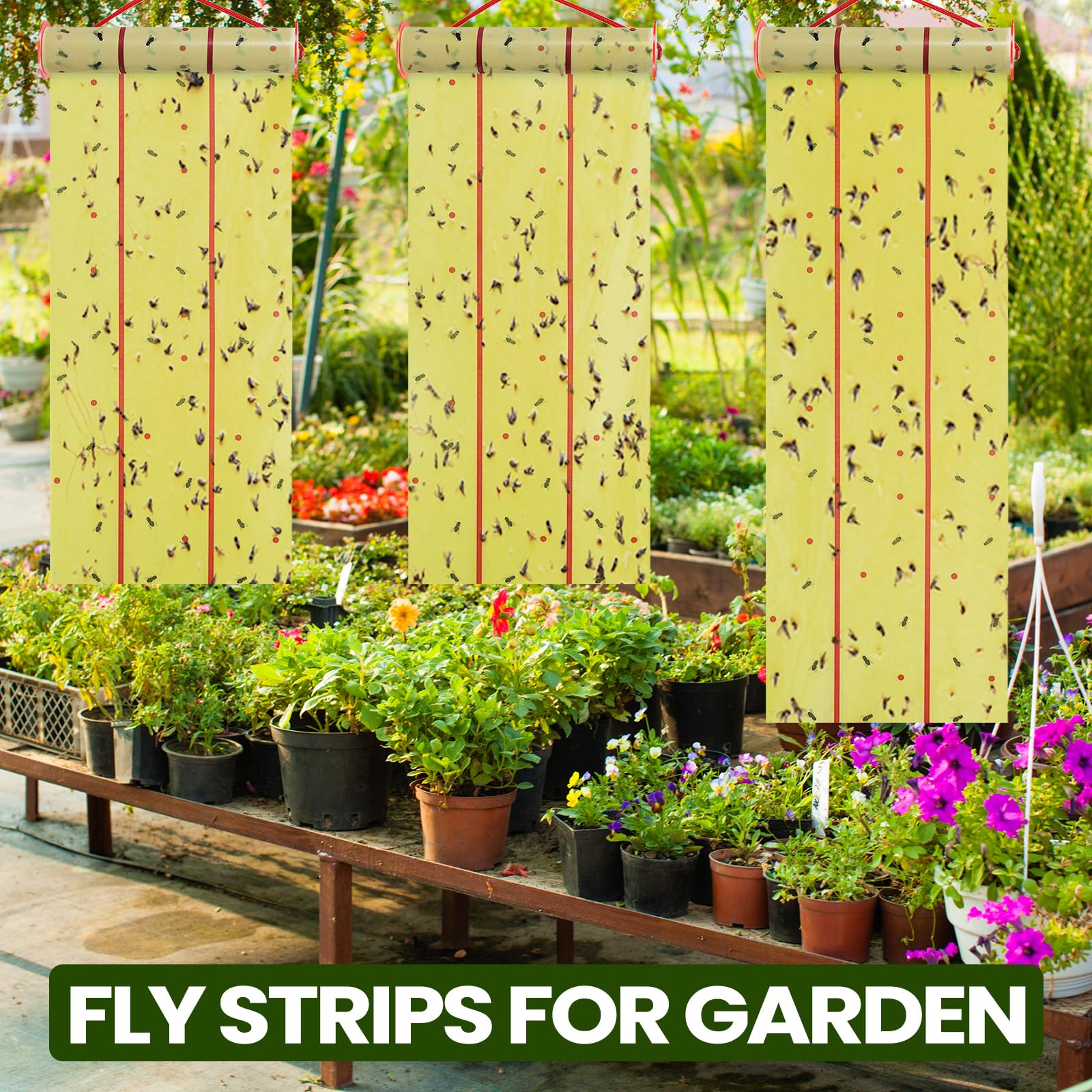 Qualirey 12 Rolls Giant Sticky Fly Traps 157 Feet Adhesive Fly Paper Fruit Fly Traps Outdoor Indoor Fly Strips Sticky Hanging Fly Tapes Gnat Bug Catcher Pest Killer for Garage Greenhouse Barn Stable