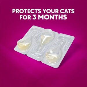 ZoGuard Plus Flea and Tick Prevention for Small Cats – Flea & Tick Prevention for Cats Over 1.5lbs (3 Doses)