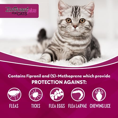 ZoGuard Plus Flea and Tick Prevention for Small Cats – Flea & Tick Prevention for Cats Over 1.5lbs (3 Doses)