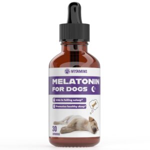 melatonin for dogs | dog melatonin | melatonin for dogs sleep | sleep aid for dogs | dog sleep aid | dog calming | calming for dogs | dog calming treats | dog anxiety relief | (1)