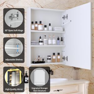 LALAHOO Medicine Cabinets for Bathroom,Medicine Cabinet Mirror,Lighted Medicine Cabinet with LED Lights,Adjustable Shelf, 3-Color, Dimmer,Defogger,20"x28"