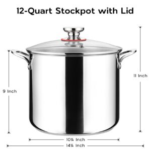 Onader 12 Quart Stock Pot 18/10 Stainless Steel Cooking Pot with Lid Large Soup Pot