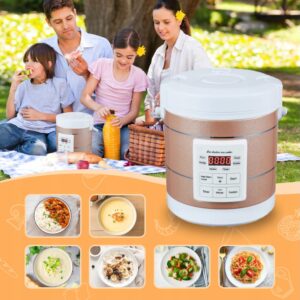 AMIEROUS 1.6L rice cookers (car cooker 12v-24v Gold)