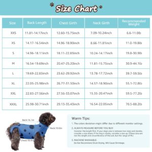 Comwish Recovery Suit for Dogs, Professional Soft Breathable Dog Surgery Suit Post Spay, Neuter, Abdominal Surgical Suit Prevent Licking Wounds, Dog Recovery Suit Male Female Can Pee (Blue, Small)