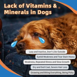 Dog Multivitamin Powder with Glucosamine, Dog Vitamins and Supplements for Immune Support, Dog Skin and Coat Supplement with Omega 3 for Allergy Relief, Probiotics for Dog Support Digestive Health