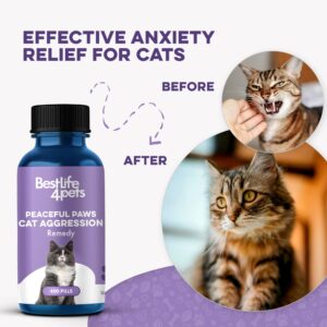 Anti Aggresion for Cats Calming Remedy - A Natural Diffuser and Cat Calming Aid for Stress, Spritefull Spraying, Scratcihng & Territorial Behavior - Non-Drowsy - 400 Odorless, Tasteless Pills