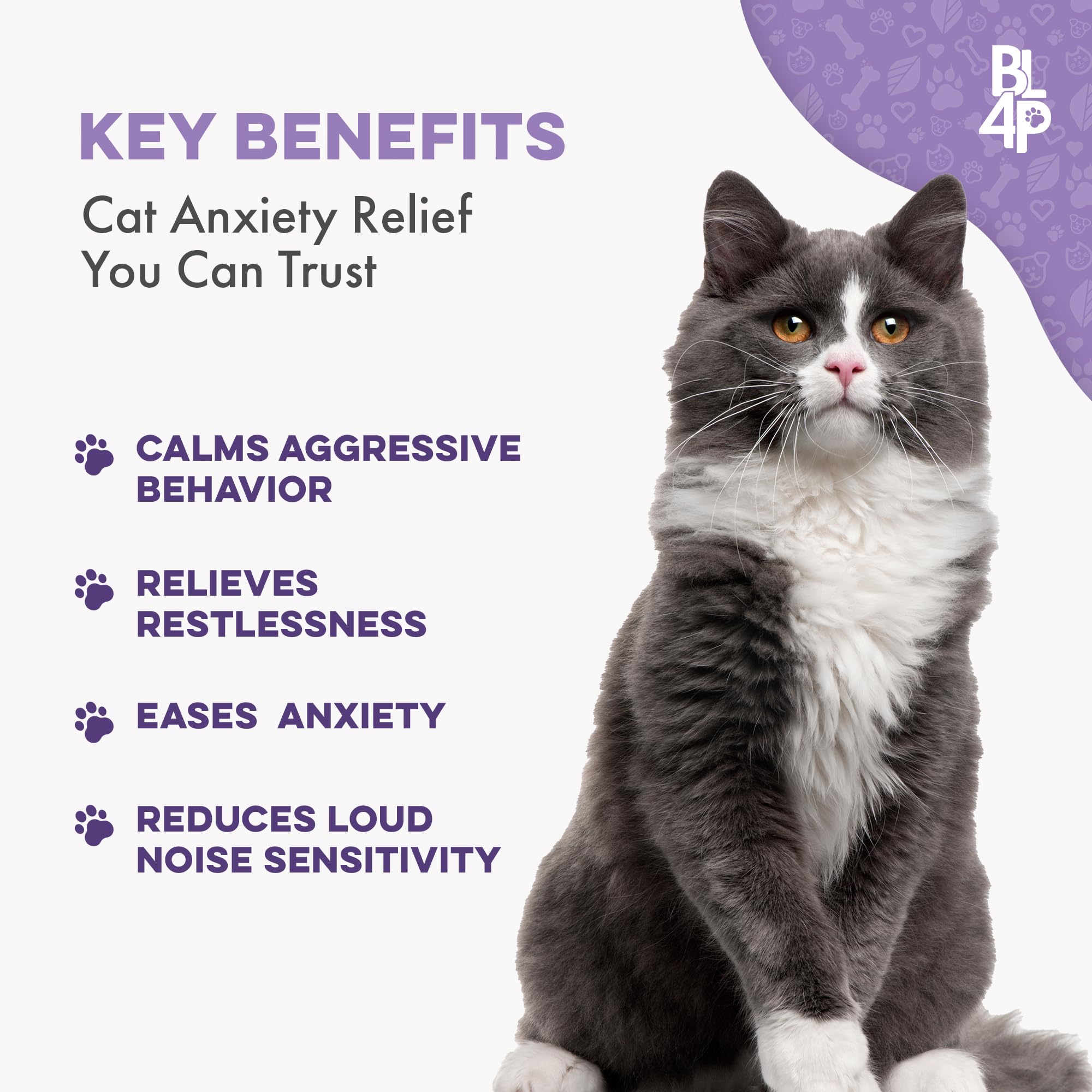 Anti Aggresion for Cats Calming Remedy - A Natural Diffuser and Cat Calming Aid for Stress, Spritefull Spraying, Scratcihng & Territorial Behavior - Non-Drowsy - 400 Odorless, Tasteless Pills