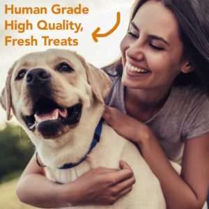 Marcy's Pet Kitchen- All Natural, Crunchy, Pumpkin Biscuit Dog Treats - Homemade - Crunchy Approved- Vegan, Gluten Free, Human Grade Ingredients, Made in The USA, Healthy Pumpkin Dog Treats