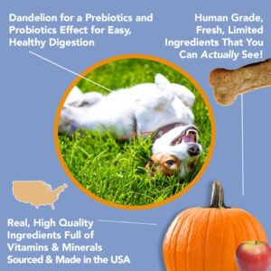 Marcy's Pet Kitchen- All Natural, Crunchy, Pumpkin Biscuit Dog Treats - Homemade - Crunchy Approved- Vegan, Gluten Free, Human Grade Ingredients, Made in The USA, Healthy Pumpkin Dog Treats