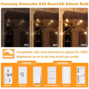 hansang E26 Edison LED Bulb, 40W Equivalent, 3000K Warm White Dimmable Tubular T10 LED Bulb, E26 Base Light Bulbs for Chandelier, Decorative Light Bulbs with Clear Glass, 120V, CRI85+, 400LM, 6 Pack