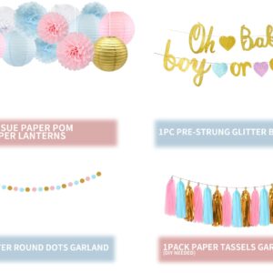 Kiwayo Baby Gender Reveal Party Decorations Supplies Kit Blue & Pink- Boy or Girl Banner, Tissue Paper Poms, Paper Lanterns, Circle Dot Garland, Tassels Garland- Gender Reveal Ideas Boy Or Girl