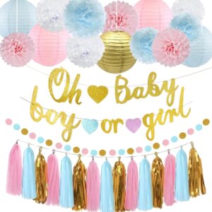 kiwayo baby gender reveal party decorations supplies kit blue & pink- boy or girl banner, tissue paper poms, paper lanterns, circle dot garland, tassels garland- gender reveal ideas boy or girl