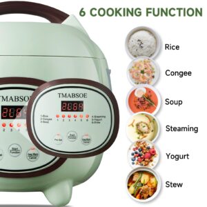 TMABSOE Rice Cooker 6 Cup (Cooked), Small Rice Cooker with 6 Cooking modes,24-Hr Delay Timer and Auto Keep Warm Function, Non-Stick Inner Pot,1.6L Suitable For 1-3 People